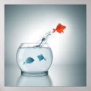 Suche nach rote fische poster Blau