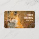 Suche nach wildnis visitenkarten Fotografie
