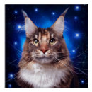 Suche nach blaue katze poster Für katzenliebhaber