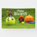 Suche nach halloween banner Heilwasser