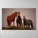 Suche nach araber poster Stehend