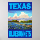 Suche nach texas bluebonnet poster Natur