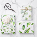 Suche nach grüner farn geschenkpapier Blume
