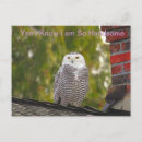 Suche nach handsome poster Natur