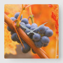 Suche nach weinberg wanduhren Weingut