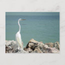 Suche nach angeln postkarten Wasser