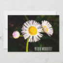 Suche nach floh karten Flora