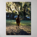 Suche nach backlit poster Rasse