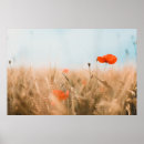 Suche nach rote mohnblumen poster Landschaft