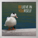 Suche nach weiße ente poster Wasservögel