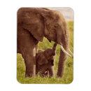 Suche nach niedlicher elefant magnete Mutter