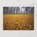 Suche nach spokane poster Fall