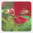 Suche nach herzformen aufkleber Valentinstag