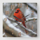 Suche nach tulpe wanduhren Roter vogel