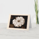 Suche nach sepia karten Rose