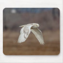 Suche nach schneeeule mousepads Vögel
