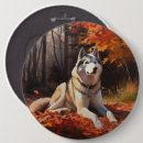 Suche nach sibirisch buttons Sibirischer husky