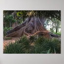 Suche nach alter baum poster Fotografie