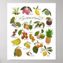 Suche nach philippines poster Tropisch