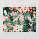 Suche nach wildblumen postkarten Einzigartig