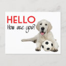 Suche nach gelbes labrador retriever postkarten Denken sie