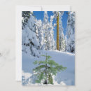 Suche nach schneebedeckter wald karten Tanne