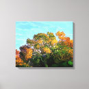 Suche nach herbstbaum leinwandbilder Natur