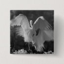 Suche nach infrarot buttons Künstlerisch