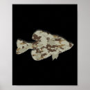 Suche nach digitale camouflage poster Fliegenfischen