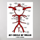 Suche nach arteries poster Arterien