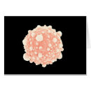 Suche nach desoxyribonukleinsäure postkarten Illustration