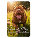 Suche nach bordeaux magnete Hunde