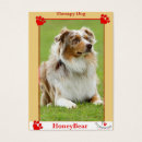 Suche nach therapiehund Dogs