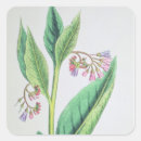 Suche nach trauben aufkleber Blätter