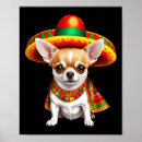 Suche nach mexikanischer hund poster Cinco