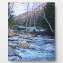 Suche nach wild fotoplatten Im freien