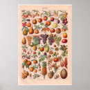 Suche nach vintage fruit poster Food