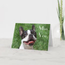Suche nach terrier karten Vermisst
