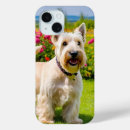 Suche nach weide iphone hüllen Gras