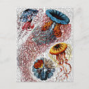 Suche nach anemones postkarten Blume