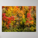 Suche nach north carolina poster Pisgah nationalwald
