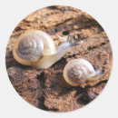 Suche nach schnecken aufkleber Tiere