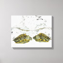 Suche nach schwimmen leinwandbilder Tiere