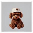 Suche nach pudel poster Flauschig
