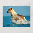 Suche nach meerwasser poster Pferd