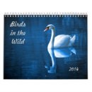 Suche nach vögel kalender Wild