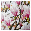 Suche nach magnolien fliesen Botanisch