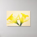 Suche nach narzissen poster Farbe