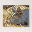 Suche nach schweine puzzle Nutztiere