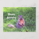 Suche nach eichhörnchen geburtstag karten Fuchsfalke